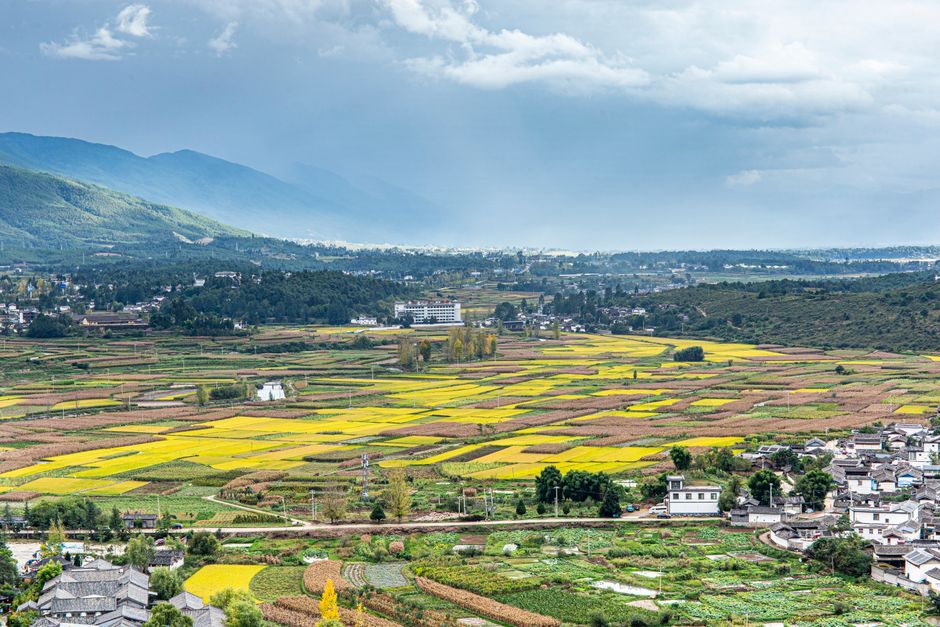 Aerial view of a vibrant rural landscape showcasing fields and distant mountains under an overcast sky.
